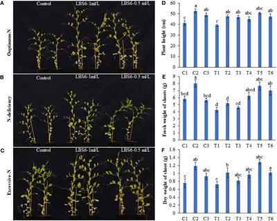 A biostimulant prepared from red seaweed Kappaphycus alvarezii induces flowering and improves the growth of Pisum sativum grown under optimum and nitrogen-limited conditions